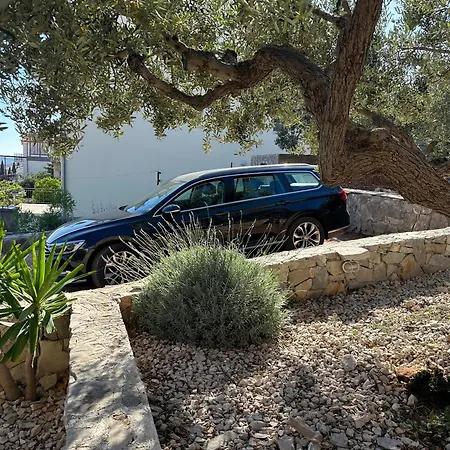 Lägenhet Primosten Apartments Primošten